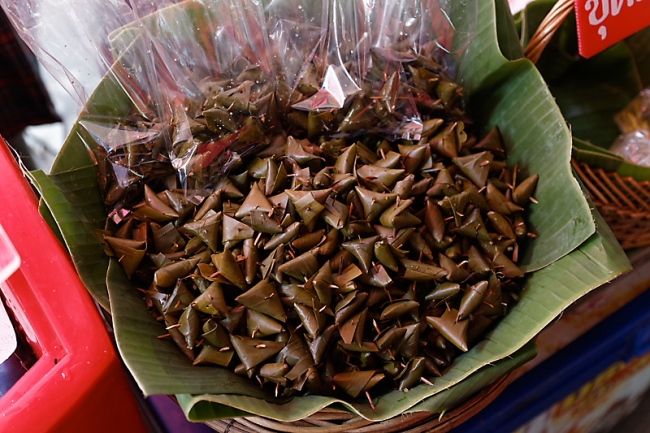 Talin chan-NOV13-013